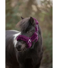 Licol en polaire Teddy Protection