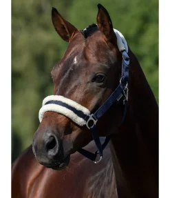 Licol en polaire Teddy à prix cassé III