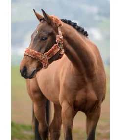 Licol en polaire Teddy Protection