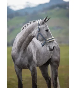 Licol en polaire Teddy à prix cassé III