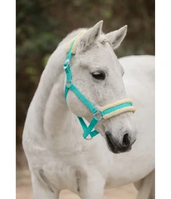 Licol en polaire Teddy à prix cassé III