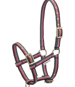 Licol poulain Darling