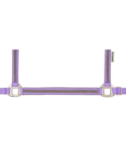 Licol poulain et shetland Blaire