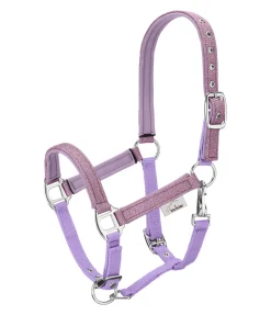 Licol poulain et shetland Twinkle