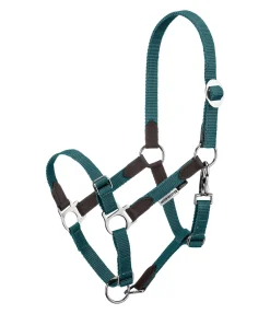 Licol poulain et shetland Katy