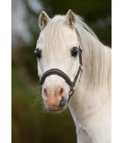 Licol poulain et shetland en cuir orné de strass Selina