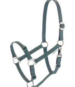 Licol poulain et shetland Grow With You