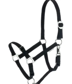 Licol poulain et shetland Grow With You