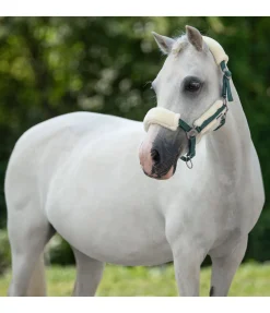 Licol poulain et shetland en polaire Teddy Cozy Adjustable