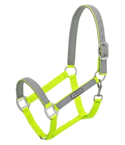 Licol réfléchissant Shiny