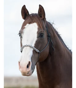 Licol sans noeuds Bonny