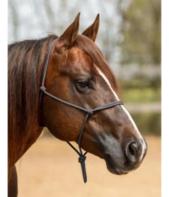 Licol éthologique Bo