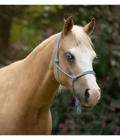 Licol éthologique Bo