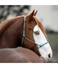 Licol éthologique Bo