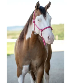 Licol éthologique Bo