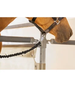 Longe d'attache de transport Flexi