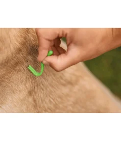 Lot de pinces à tiques