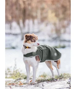 Manteau de randonnée softshell pour chien Athlete, 0 g
