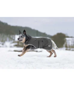 Manteau de randonnée softshell pour chien Athlete, 0 g