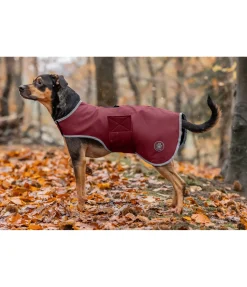 Manteau de randonnée softshell pour chien Athlete, 0 g