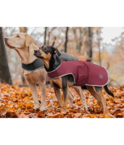 Manteau de randonnée softshell pour chien Athlete, 0 g