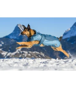 Manteau d'hiver pour chien avec doublure en polaire Teddy, 100 g Glacier Bay