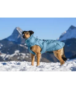 Manteau d'hiver pour chien Wonderland, 140 g