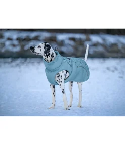 Manteau d'hiver pour chien Wonderland, 140 g