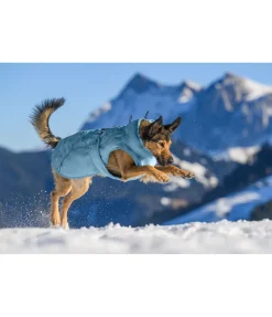 Manteau d'hiver pour chien Wonderland, 140 g
