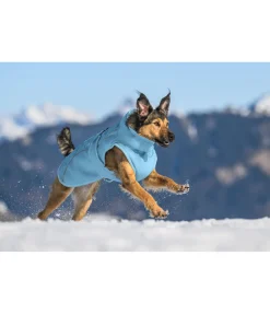Manteau d'hiver pour chien Wonderland, 140 g
