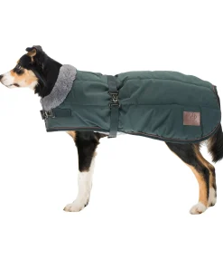 Manteau d'hiver pour chien avec doublure en fourrure Teddy Gizmo, 200 g