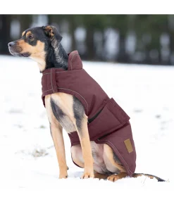Manteau d'hiver pour chien Beaver Creek, 400 g