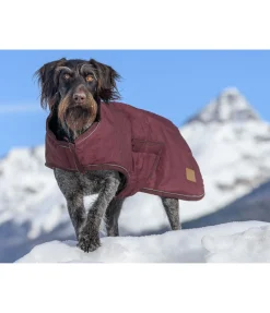 Manteau d'hiver pour chien Beaver Creek, 400 g