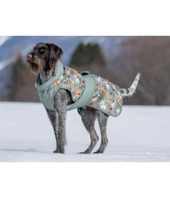 Manteau d'hiver pour chien Candy Cane, 120 g