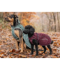Manteau pour chien 2 en 1 Ally