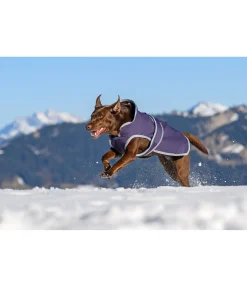 Manteau pour chien avec doublure polaire Eddie 200 g