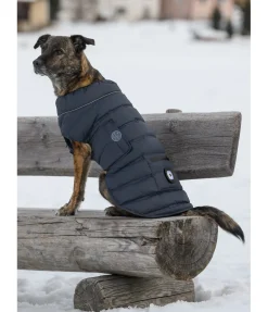 Manteau pour chien matelassé avec LED Arlo, 300 g