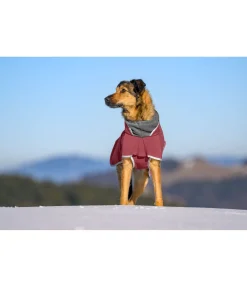 Manteau pour chien softshell avec col polaire Frida