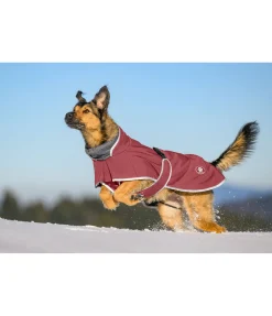 Manteau pour chien softshell avec col polaire Frida