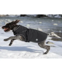 Manteau softshell pour chien avec harnais intégré Cruz, 160 g