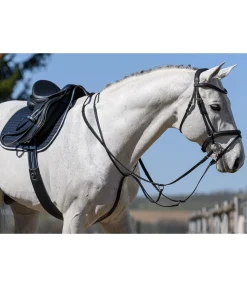 Martingale à anneaux