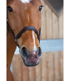 Mash aux fruits Pomme Harvest