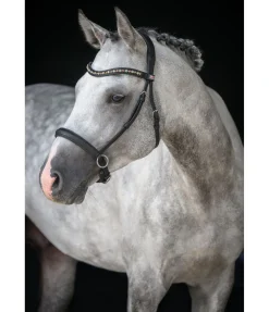 Muserolle en cuir gras sans mors Mix & Match