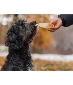 Oreilles de boeuf pour chien . Produit en Autriche.