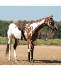 Pad de monte à cru Denver