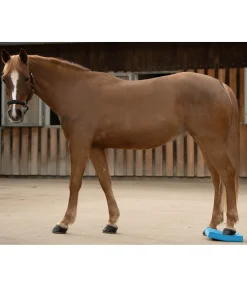 Pad d'équilibre Balance