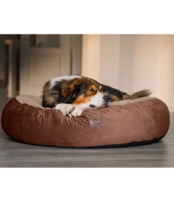 Panier pour chien à mémoire de forme Quincy