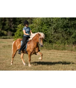 Pantalon d'équitation jodhpur Svarta