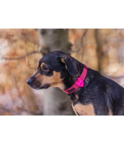 Pendentif LED en silicone Flash