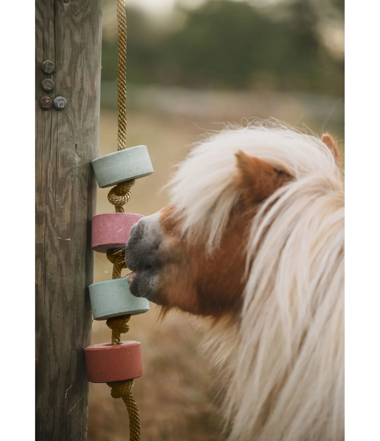 Pierre à lécher Salty Lick Relax